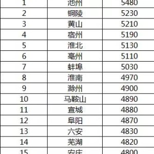 蜂鸟app官网- 英超薪资帽新政出炉，豪门面临财政压力  